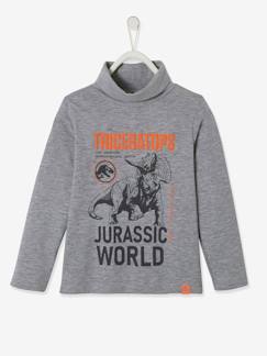 Niño-Camisetas y polos-Camiseta de cuello alto Jurassic World®, para niño