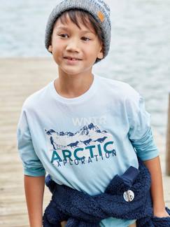 Niño-Camisetas y polos-Camisetas-Camiseta "Arctic Exploration" efecto dip-dye, para niño