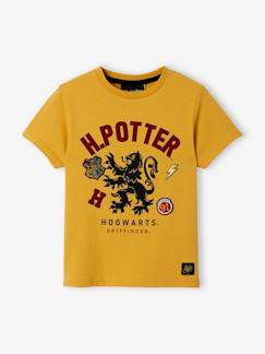 Niño-Camisetas y polos-Camisetas-Camiseta Harry Potter®