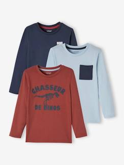 Niño-Camisetas y polos-Camisetas-Lote de 3 camisetas de manga larga surtidas, para niño