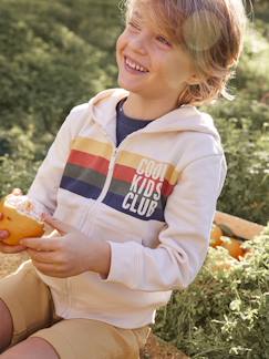 Niño-Jerséis, chaquetas de punto, sudaderas-Sudaderas-Sudadera con capucha, cremallera y adorno a rayas, para niño