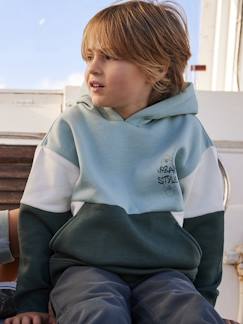 Niño-Jerséis, chaquetas de punto, sudaderas-Sudadera con capucha de efecto colorblock, para niño
