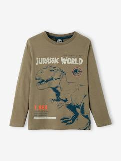 Niño-Camisetas y polos-Camisetas-Camiseta de manga larga Jurassic World®