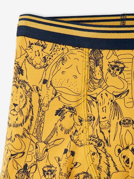 Pack de 3 boxers stretch Safari, niño AMARILLO MEDIO ESTAMPADO 