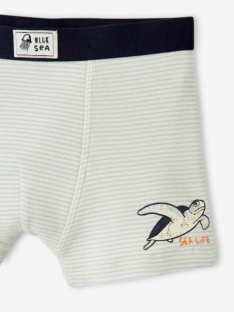 Pack de 3 boxers stretch 'animales marinos', para niño BLANCO CLARO LISO CON MOTIVOS 