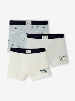 Niño-Ropa interior-Slips y bóxers-Pack de 3 boxers stretch "animales marinos", para niño