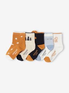 Bebé-Calcetines, leotardos-Lote de 5 pares de calcetines Naturaleza, bebé niño