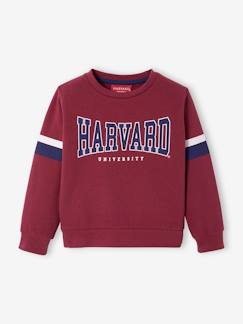 Niño-Jerséis, chaquetas de punto, sudaderas-Sudadera Harvard®