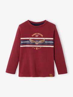 Niño-Camisetas y polos-Camisetas-Camiseta de manga larga Harry Potter®