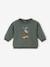 Sudadera Coche bebé VERDE OSCURO LISO CON MOTIVOS 