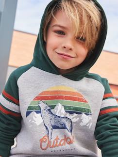 Niño-Jerséis, chaquetas de punto, sudaderas-Sudadera con capucha y motivo gráfico, con mangas raglán, para niño