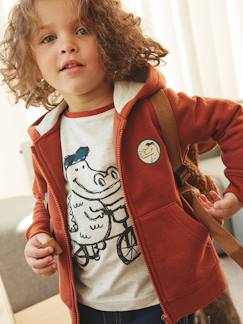 Niño-Jerséis, chaquetas de punto, sudaderas-Sudaderas-Sudadera deportiva con cremallera, capucha y cresta fantasía