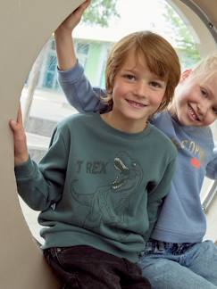 Niño-Jerséis, chaquetas de punto, sudaderas-Sudaderas-Sudadera con gran motivo gráfico delante, para niño