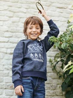 Niño-Jerséis, chaquetas de punto, sudaderas-Sudaderas-Sudadera con capucha y animación delante, para niño