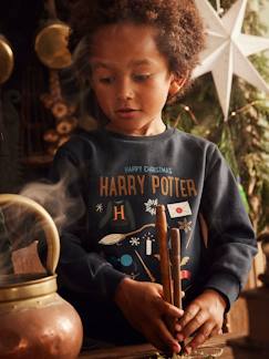 Niño-Jerséis, chaquetas de punto, sudaderas-Sudaderas-Sudadera Navidad Harry Potter®