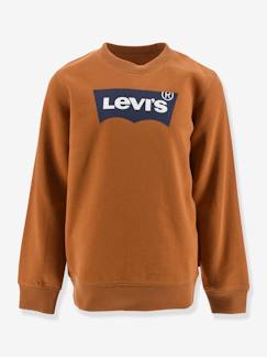 Niño-Jerséis, chaquetas de punto, sudaderas-Sudaderas-Sudadera Batwing Crewneck de Levi's®