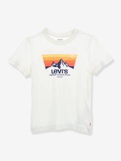 -Camiseta para niño Mountain Batwing de Levi's®