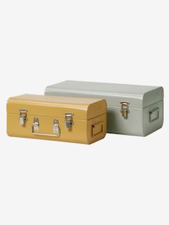 Habitación y Organización-Almacenaje-Cajas, cestas y cajones de almacenaje-Pack de 2 baúles encajables de metal