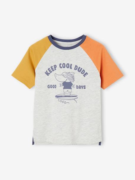 Camiseta colorblock con motivo de tiburón para niño gris jaspeado 