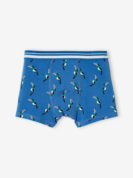 Pack de 3 bóxers «stretch» para niño «Tucanes» azul intenso 