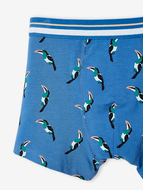 Pack de 3 bóxers «stretch» para niño «Tucanes» azul intenso 
