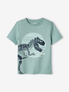 camisetas-Camiseta con dinosaurio gigante, para niño