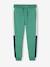 Pantalón deportivo de felpa con bandas bicolores a los lados, para niña azul eléctrico+GRIS MEDIO JASPEADO+GRIS OSCURO LISO CON MOTIVOS+NEGRO OSCURO LISO CON MOTIVOS+verde 