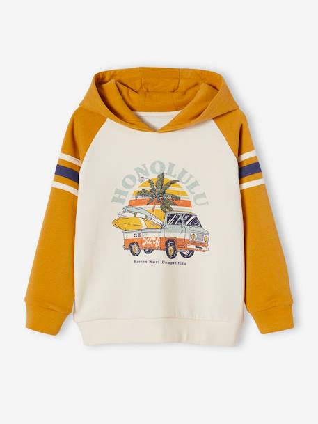 Sudadera con capucha y motivo gráfico con mangas raglán, para niño azul+azul pizarra+tinta 