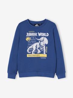 Niño-Jerséis, chaquetas de punto, sudaderas-Sudadera Jurassic World®