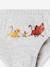 Pack de 5 calzoncillos Disney® El Rey León 6706 