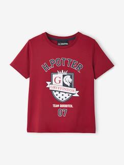 Niño-Camisetas y polos-Camisetas-Camiseta de Harry Potter® para niño