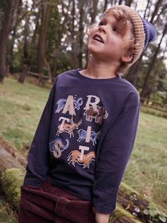 Niño-Camisetas y polos-Camisetas-Camiseta motivo de la prehistoria con detalles bordados para niño