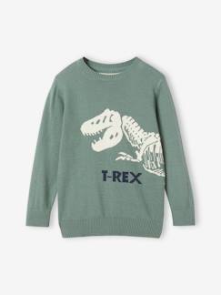 Niño-Jerséis, chaquetas de punto, sudaderas-Jersey divertido dinosaurio niño