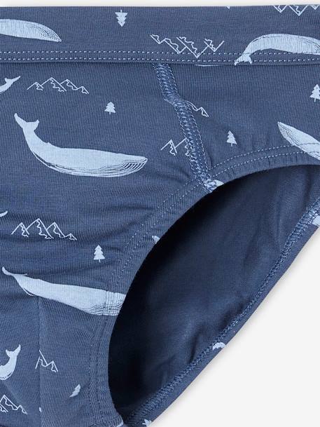 Pack de 7 slips stretch ballenas de algodón orgánico para niño azul claro 