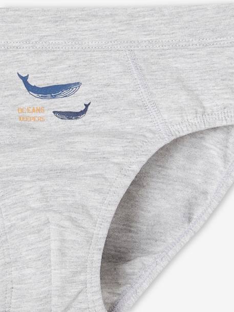 Pack de 7 slips stretch ballenas de algodón orgánico para niño azul claro 