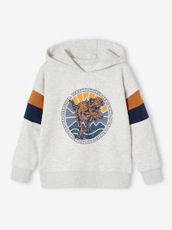 Sudadera con capucha motivo gráfico y con mangas colorblock para niño