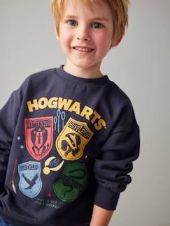 Niño-Jerséis, chaquetas de punto, sudaderas-Sudaderas-Sudadera infantil Harry Potter® Escudos