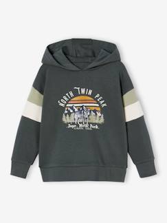 Sudadera con capucha motivo gráfico y con mangas colorblock para niño