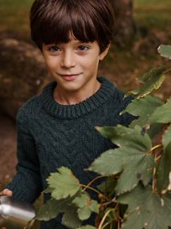 Jersey de punto trenzado para niño