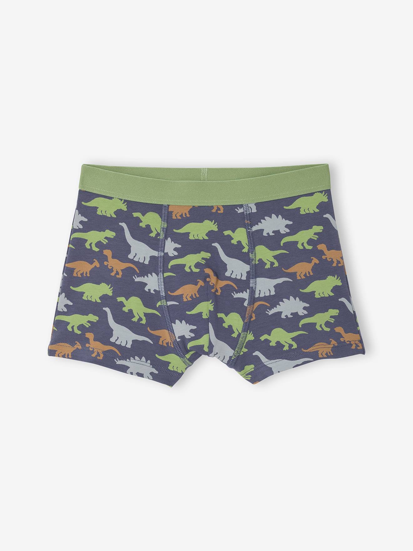 Jurassic World Boxer da Ragazzo, Confezione da 2, Intimo Dinosauro, Slip per Bambini, 2 Paia di bauli per Bambini